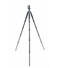 Phottix TA-255C 5 Section Carbon Fiber Tripod with BH-S Ball Head